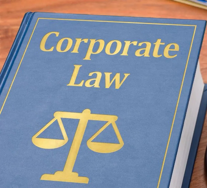 corporate litigation firm in delhi