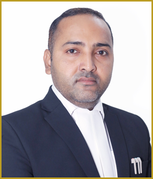 Team Image